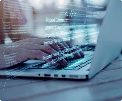 Website Design & Development