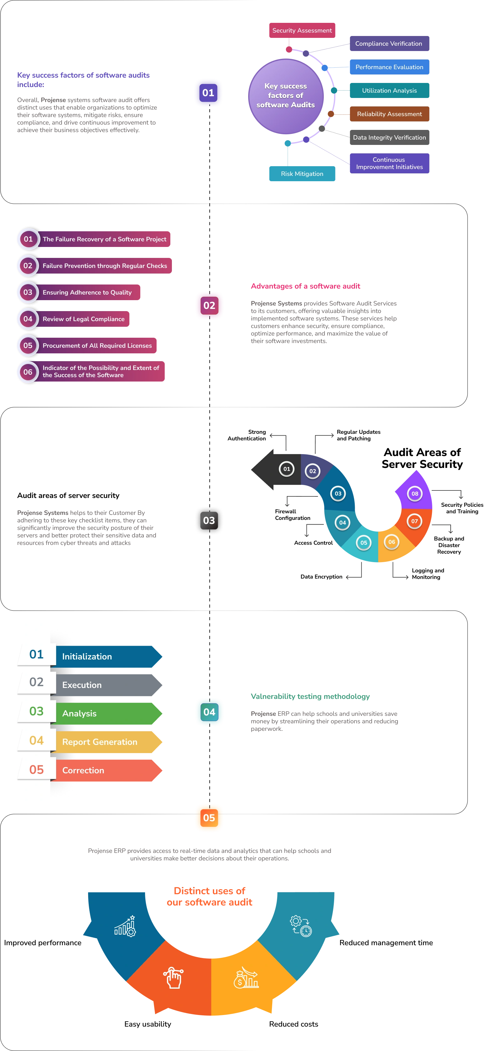 Software Audits