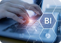 Business Intelligence (BI) & Analytics